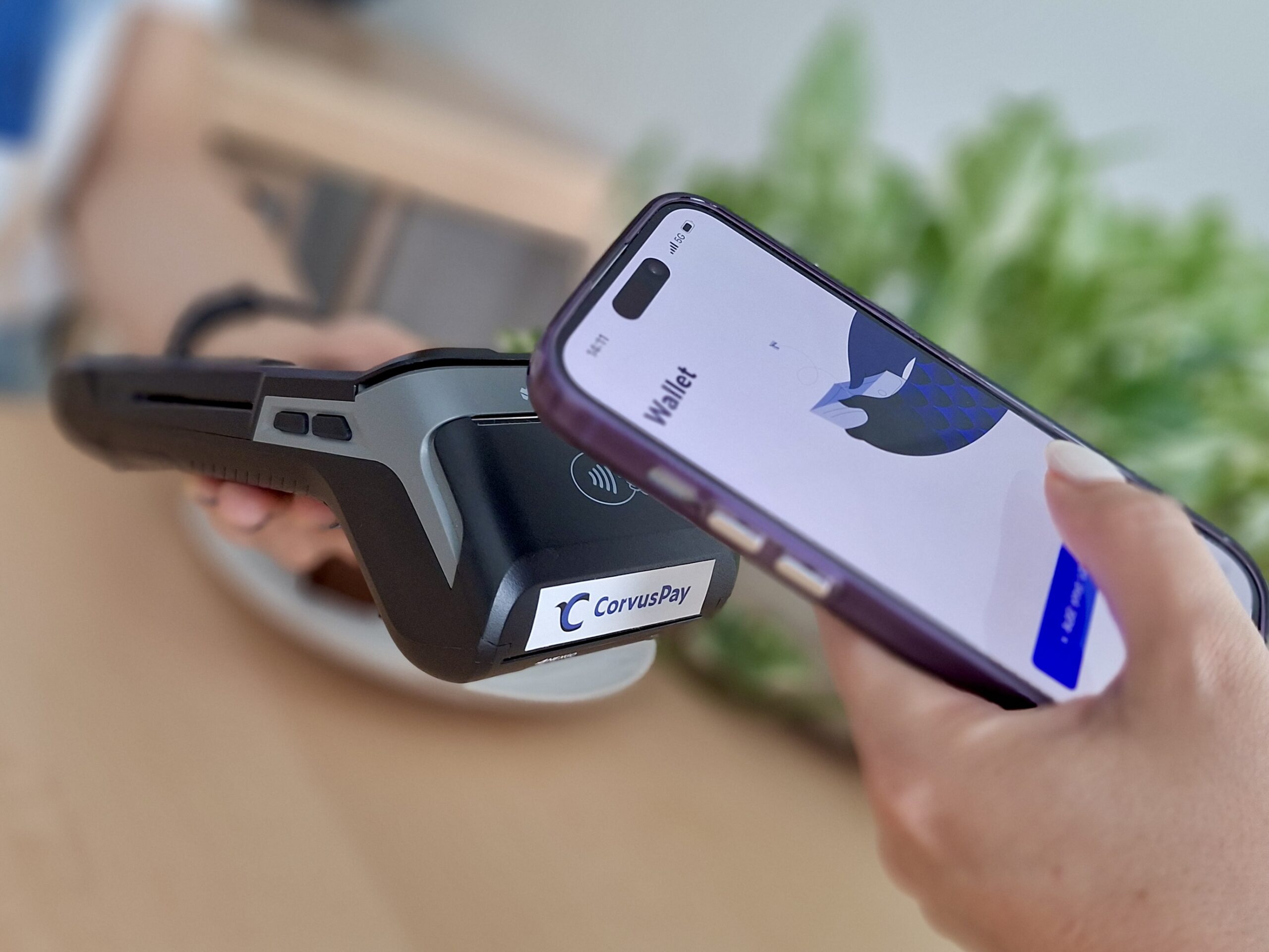 CorvusPay EU regija trendovi u plaćanjima